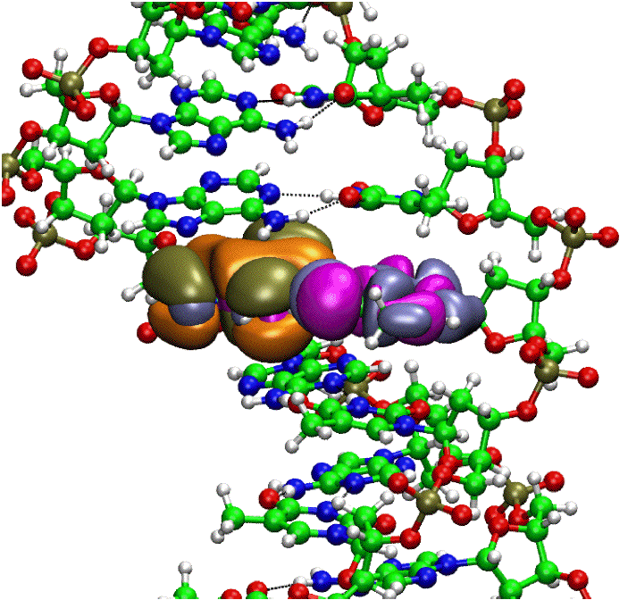 Molecular orbitals in DNA