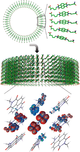 Exciton delocalization a self-assembled nanotube