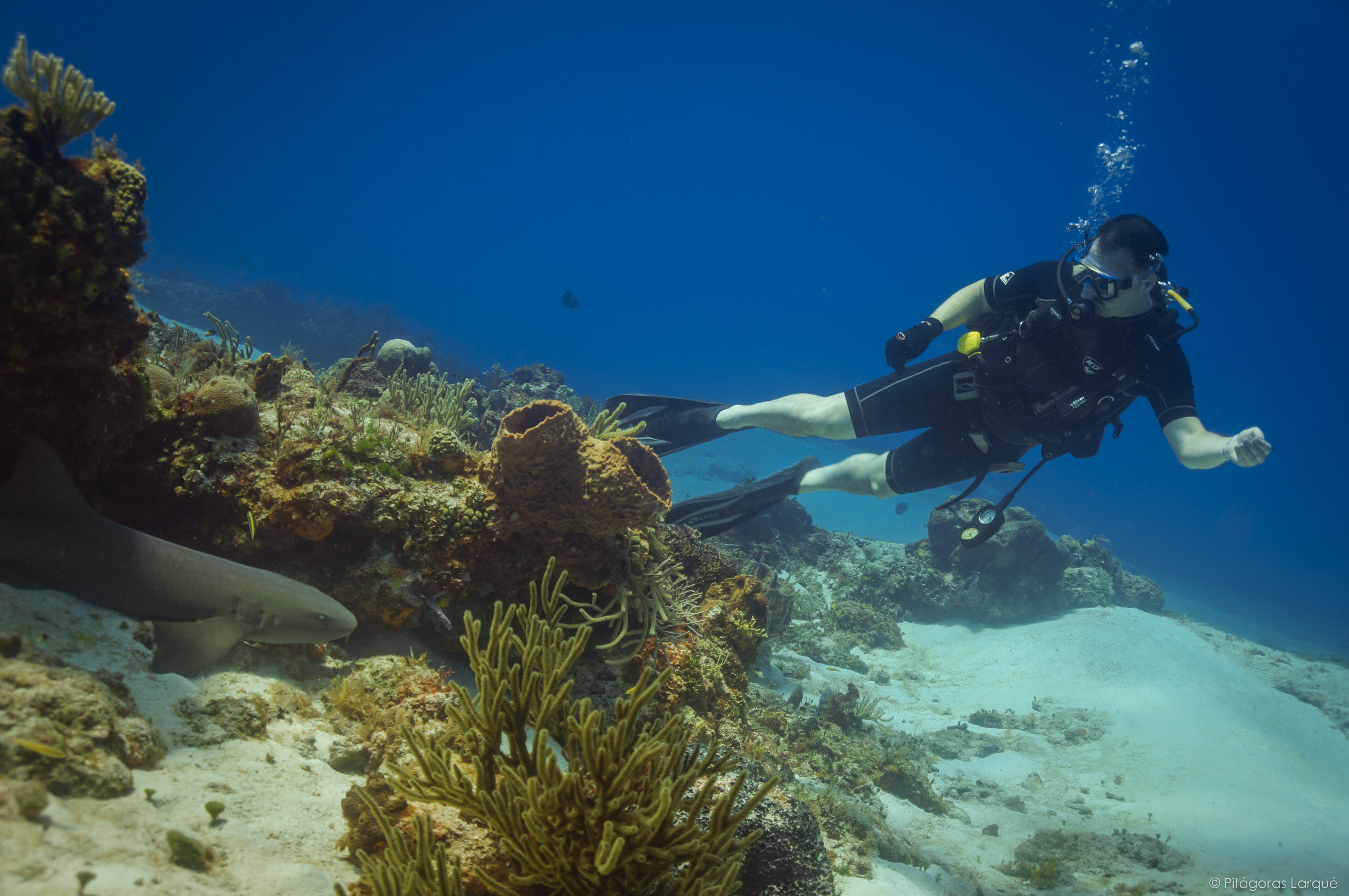 Yuri Kovchegov scuba diving near a coral reef in Cozumel, Mexico