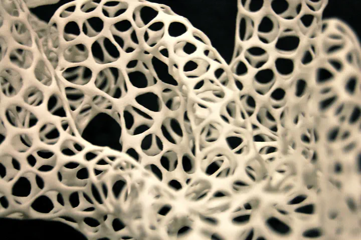 detail of 3d printed sculpture