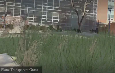 virtual grass and trees in courtyard
