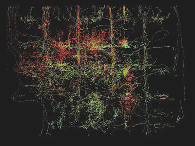 trails of dots like ant trails accumulated in red and yellow