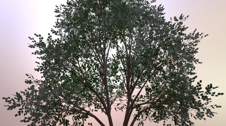 virtual tree