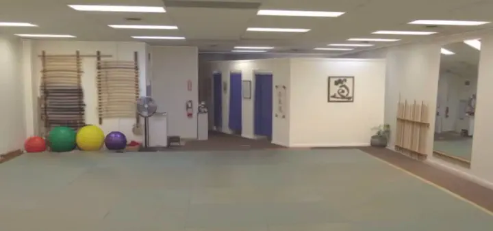 aikido dojo interior, view from mats