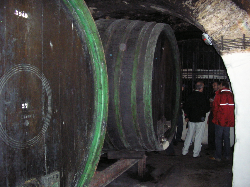 P3120038.JPG