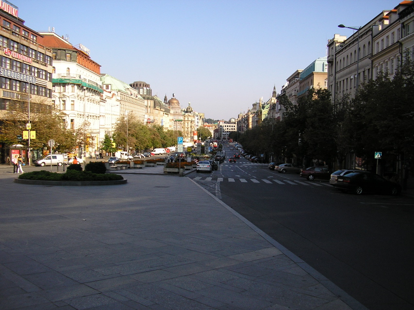 P3130001.JPG