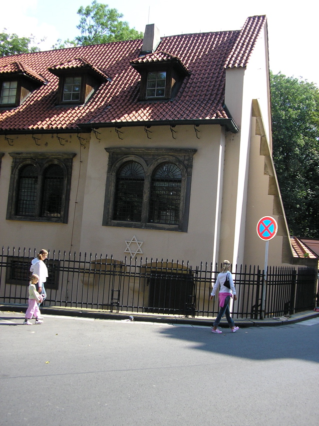 P3130020.JPG