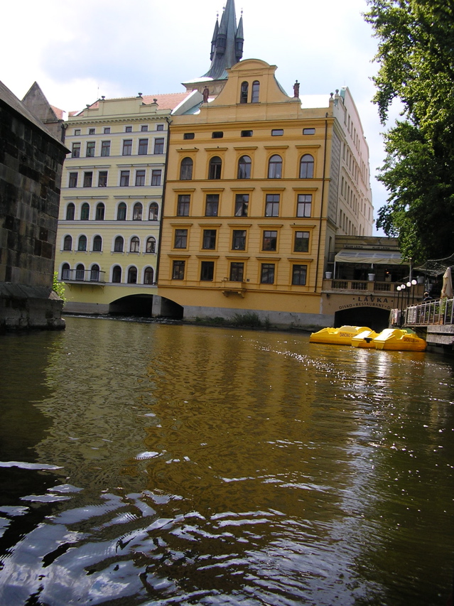 P3130030.JPG