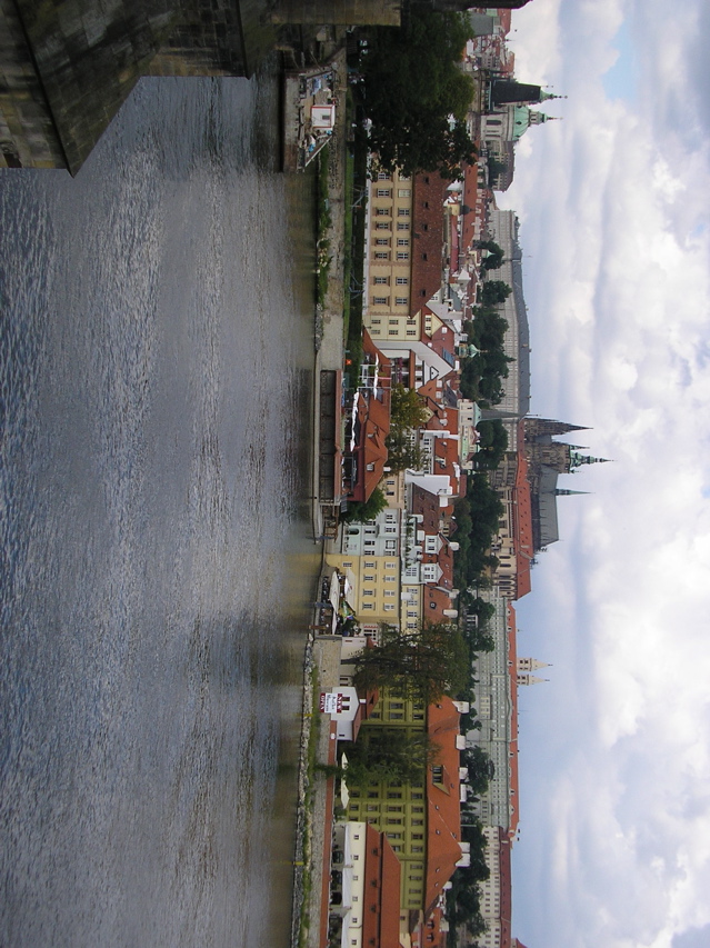 P3130045.JPG