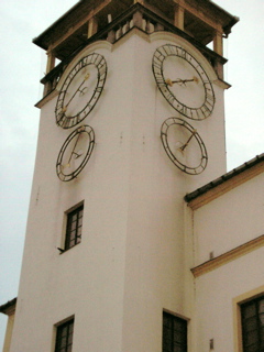 P3170083.JPG