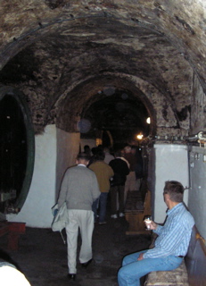 P3110031.JPG