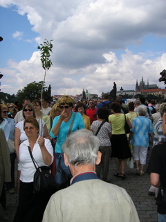 P3130042.JPG