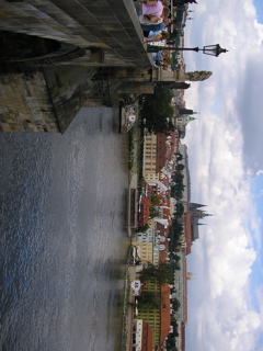 P3130046.JPG