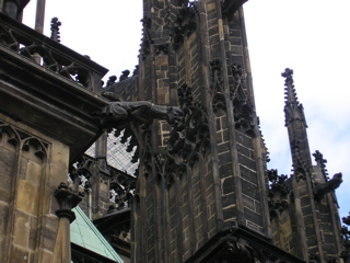 P3130060.JPG