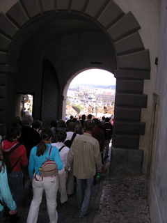 P3130063.JPG