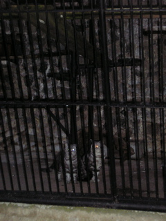 P3170074.JPG