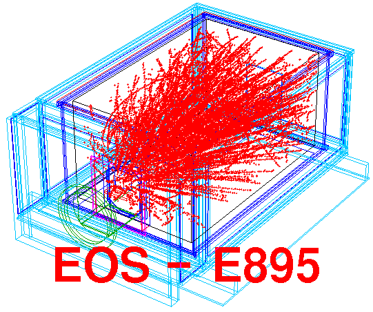 E895 Experiment logo