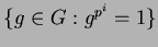 $ \{g\in G: g^{p^i} = 1\}$