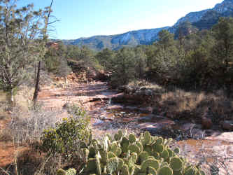 IMG_0431.jpg (3343307 bytes)