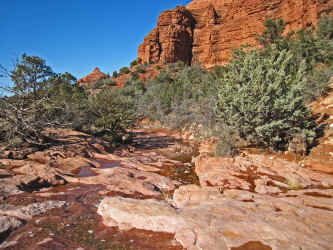 IMG_0434_1.jpg (3281662 bytes)