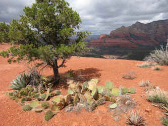 IMG_1008.JPG (4282693 bytes)