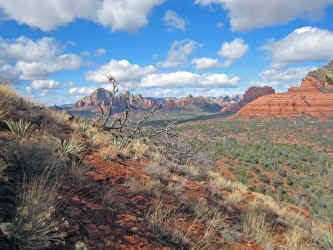 IMG_1811.jpg (5275473 bytes)