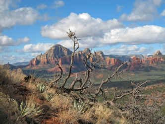 IMG_1812.jpg (5166303 bytes)