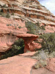 DSCN2967.JPG (239681 bytes)