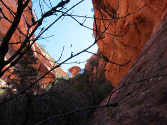 IMG_0742.JPG (2278514 bytes)