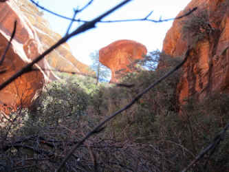 IMG_0743.JPG (2968497 bytes)