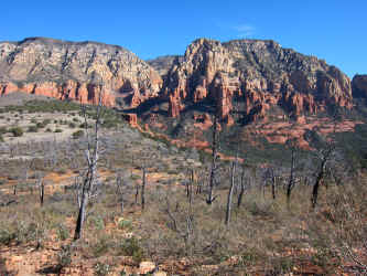 IMG_0313.JPG (4423039 bytes)