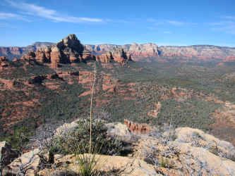 IMG_0319.JPG (3886393 bytes)