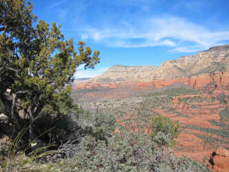 IMG_0321.JPG (3886531 bytes)