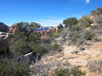 IMG_0323.JPG (4201749 bytes)