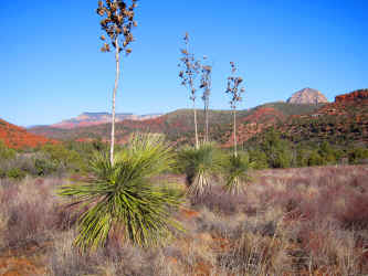 IMG_0249EE.jpg (7132521 bytes)