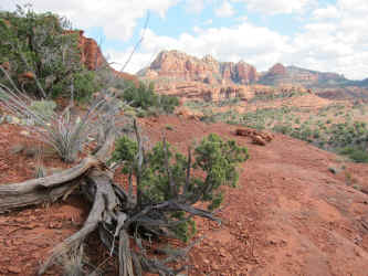 IMG_0897.JPG (3595354 bytes)