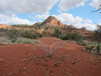 IMG_0909.JPG (3038975 bytes)