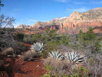 IMG_3095.jpg (4613127 bytes)