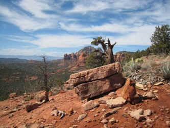 IMG_3206.jpg (3836609 bytes)