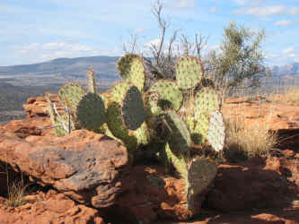 IMG_1722.jpg (2360687 bytes)