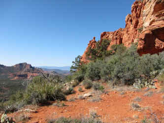 IMG_0782.JPG (905548 bytes)