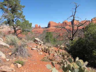 IMG_0784.JPG (1053226 bytes)