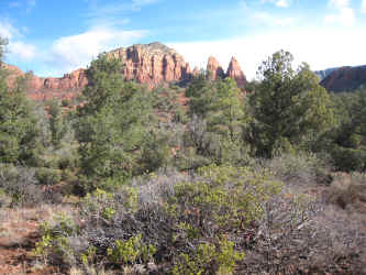 IMG_3003.jpg (5166313 bytes)