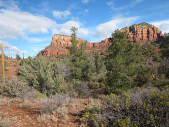 IMG_3004.jpg (4510073 bytes)