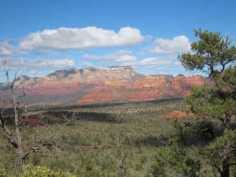 IMG_3011.jpg (3422615 bytes)