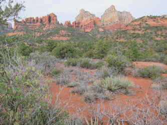 IMG_0468.JPG (3862417 bytes)