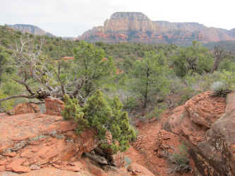 IMG_0469.JPG (3579378 bytes)