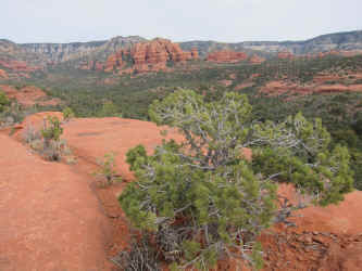 IMG_0470.JPG (3069944 bytes)