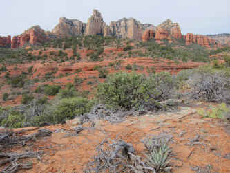 IMG_0477e.jpg (4620098 bytes)