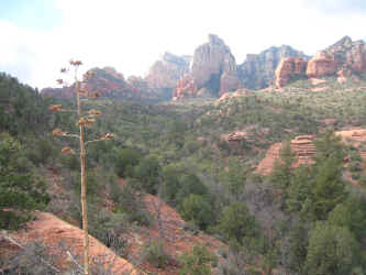 IMG_3058.jpg (3784779 bytes)